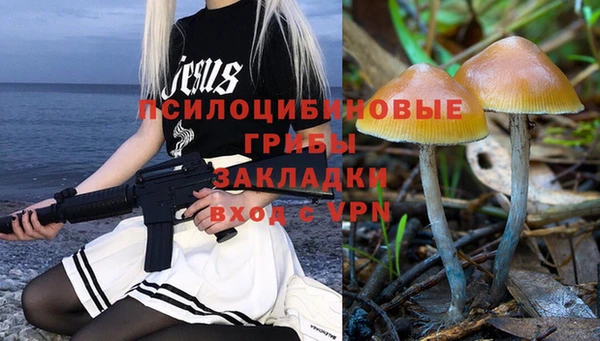 стафф Магас